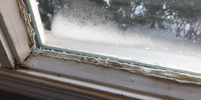 How to Clean Mold from Window Sill in 5 Easy Steps in 2023