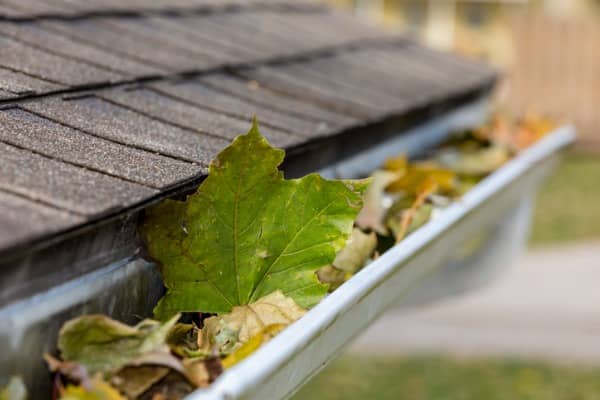 A gutter filled with leaves on a home