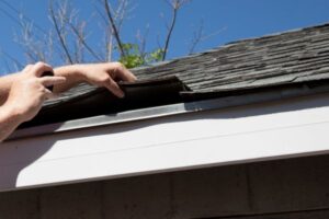 Roofer inspecting beneath the shingles on a roof
